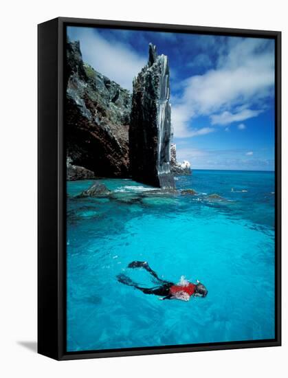 Snorkeler, Isla Tortuga, Galapagos Islands, Ecuador-Jack Stein Grove-Framed Stretched Canvas