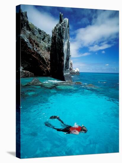 Snorkeler, Isla Tortuga, Galapagos Islands, Ecuador-Jack Stein Grove-Stretched Canvas