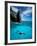 Snorkeler, Isla Tortuga, Galapagos Islands, Ecuador-Jack Stein Grove-Framed Photographic Print