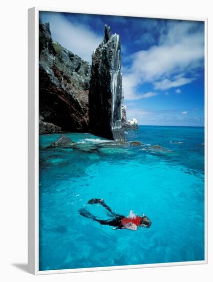 Snorkeler, Isla Tortuga, Galapagos Islands, Ecuador-Jack Stein Grove-Framed Photographic Print