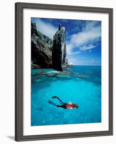 Snorkeler, Isla Tortuga, Galapagos Islands, Ecuador-Jack Stein Grove-Framed Photographic Print