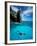 Snorkeler, Isla Tortuga, Galapagos Islands, Ecuador-Jack Stein Grove-Framed Photographic Print