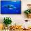 Snorkeler Swimming Above Humpback Whale-Paul Souders-Framed Stretched Canvas displayed on a wall