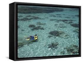 Snorkelers and Reef, Green Island, Great Barrier Reef Marine Park, North Queensland, Australia-David Wall-Framed Stretched Canvas