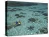 Snorkelers and Reef, Green Island, Great Barrier Reef Marine Park, North Queensland, Australia-David Wall-Stretched Canvas