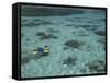 Snorkelers and Reef, Green Island, Great Barrier Reef Marine Park, North Queensland, Australia-David Wall-Framed Stretched Canvas