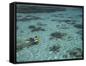 Snorkelers and Reef, Green Island, Great Barrier Reef Marine Park, North Queensland, Australia-David Wall-Framed Stretched Canvas