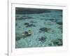 Snorkelers and Reef, Green Island, Great Barrier Reef Marine Park, North Queensland, Australia-David Wall-Framed Photographic Print