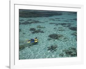 Snorkelers and Reef, Green Island, Great Barrier Reef Marine Park, North Queensland, Australia-David Wall-Framed Photographic Print