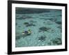 Snorkelers and Reef, Green Island, Great Barrier Reef Marine Park, North Queensland, Australia-David Wall-Framed Photographic Print