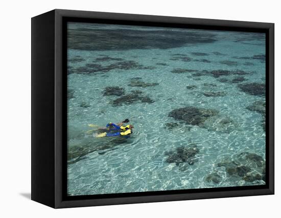 Snorkelers and Reef, Green Island, Great Barrier Reef Marine Park, North Queensland, Australia-David Wall-Framed Stretched Canvas