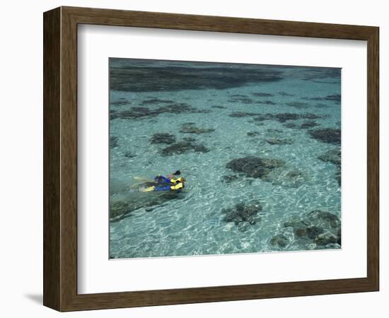 Snorkelers and Reef, Green Island, Great Barrier Reef Marine Park, North Queensland, Australia-David Wall-Framed Photographic Print