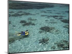 Snorkelers and Reef, Green Island, Great Barrier Reef Marine Park, North Queensland, Australia-David Wall-Mounted Photographic Print