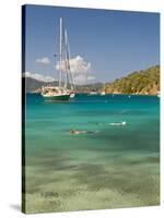 Snorkelers in Idyllic Cove, Norman Island, Bvi-Trish Drury-Stretched Canvas