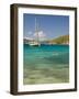 Snorkelers in Idyllic Cove, Norman Island, Bvi-Trish Drury-Framed Photographic Print