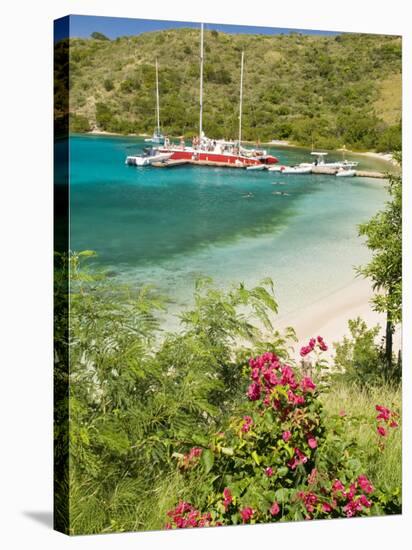 Snorkelers in Idyllic Pirates Bight Cove, Bight, British Virgin Islands-Trish Drury-Stretched Canvas