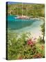 Snorkelers in Idyllic Pirates Bight Cove, Bight, British Virgin Islands-Trish Drury-Stretched Canvas