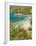 Snorkelers in Idyllic Pirates Bight Cove, Bight, British Virgin Islands-Trish Drury-Framed Photographic Print