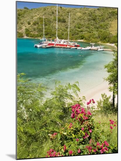 Snorkelers in Idyllic Pirates Bight Cove, Bight, British Virgin Islands-Trish Drury-Mounted Photographic Print