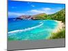 Snorkeling Bay in Oahu,Hawaii-Lorcel-Mounted Photographic Print