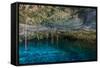 Snorkeling Cenote Cavern at Tulum. Cancun. Traveling through Mexico.-diegocardini-Framed Stretched Canvas