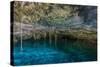 Snorkeling Cenote Cavern at Tulum. Cancun. Traveling through Mexico.-diegocardini-Stretched Canvas