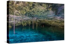 Snorkeling Cenote Cavern at Tulum. Cancun. Traveling through Mexico.-diegocardini-Stretched Canvas