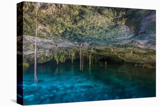 Snorkeling Cenote Cavern at Tulum. Cancun. Traveling through Mexico.-diegocardini-Stretched Canvas