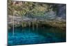 Snorkeling Cenote Cavern at Tulum. Cancun. Traveling through Mexico.-diegocardini-Mounted Photographic Print