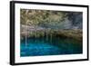 Snorkeling Cenote Cavern at Tulum. Cancun. Traveling through Mexico.-diegocardini-Framed Photographic Print