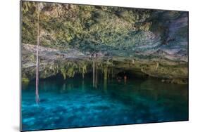 Snorkeling Cenote Cavern at Tulum. Cancun. Traveling through Mexico.-diegocardini-Mounted Photographic Print