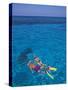 Snorkeling in Clear Waters, Bahamas, Caribbean-Greg Johnston-Stretched Canvas