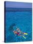 Snorkeling in Clear Waters, Bahamas, Caribbean-Greg Johnston-Stretched Canvas