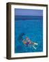 Snorkeling in Clear Waters, Bahamas, Caribbean-Greg Johnston-Framed Photographic Print