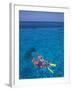 Snorkeling in Clear Waters, Bahamas, Caribbean-Greg Johnston-Framed Photographic Print