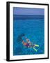 Snorkeling in Clear Waters, Bahamas, Caribbean-Greg Johnston-Framed Photographic Print