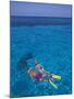 Snorkeling in Clear Waters, Bahamas, Caribbean-Greg Johnston-Mounted Photographic Print