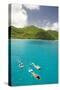 Snorkeling in Hawksnest Bay at St. John Island-Macduff Everton-Stretched Canvas