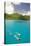 Snorkeling in Hawksnest Bay at St. John Island-Macduff Everton-Stretched Canvas