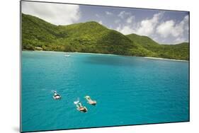 Snorkeling in Hawksnest Bay at St. John Island-Macduff Everton-Mounted Photographic Print