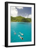 Snorkeling in Hawksnest Bay at St. John Island-Macduff Everton-Framed Photographic Print