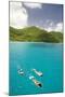 Snorkeling in Hawksnest Bay at St. John Island-Macduff Everton-Mounted Photographic Print