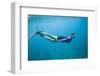 Snorkeling in Shallow Water-DLILLC-Framed Photographic Print