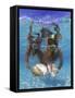 Snorkeling in the Blue Waters of the Bahamas-Greg Johnston-Framed Stretched Canvas