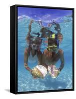Snorkeling in the Blue Waters of the Bahamas-Greg Johnston-Framed Stretched Canvas