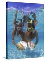 Snorkeling in the Blue Waters of the Bahamas-Greg Johnston-Stretched Canvas
