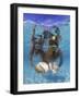 Snorkeling in the Blue Waters of the Bahamas-Greg Johnston-Framed Photographic Print