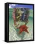 Snorkeling in the Blue Waters of the Bahamas-Greg Johnston-Framed Stretched Canvas