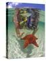 Snorkeling in the Blue Waters of the Bahamas-Greg Johnston-Stretched Canvas