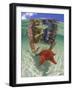 Snorkeling in the Blue Waters of the Bahamas-Greg Johnston-Framed Photographic Print